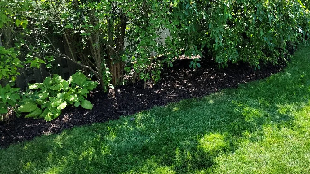 Reliable landscape design for residential properties in De Pere, WI by All services & Landscaping
