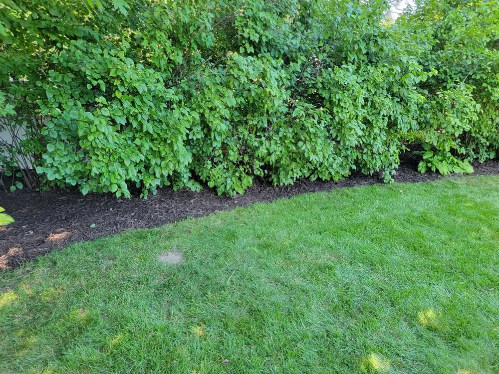 Professional garden landscaping in De Pere, WI - All services & Landscaping
