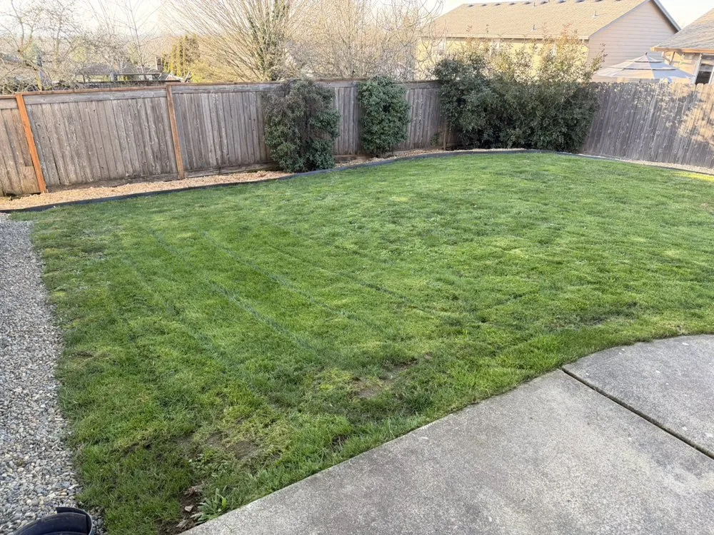 Custom yard cleanup service for year-round maintenance in Vancouver, WA by All Set Solutions