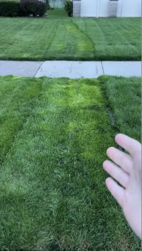 Custom landscaping services in Toms River, NJ by All Shore Renovations