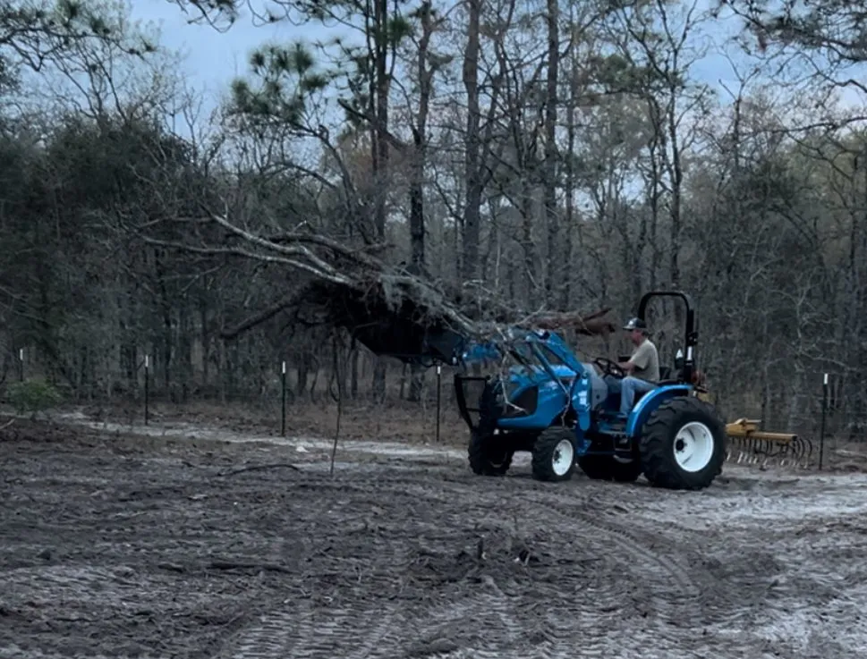 Local landscaping services experts serving Morriston, FL - All Sky Property Services