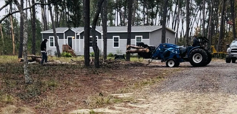 Professional garden landscaping for residential properties in Morriston, FL by All Sky Property Services