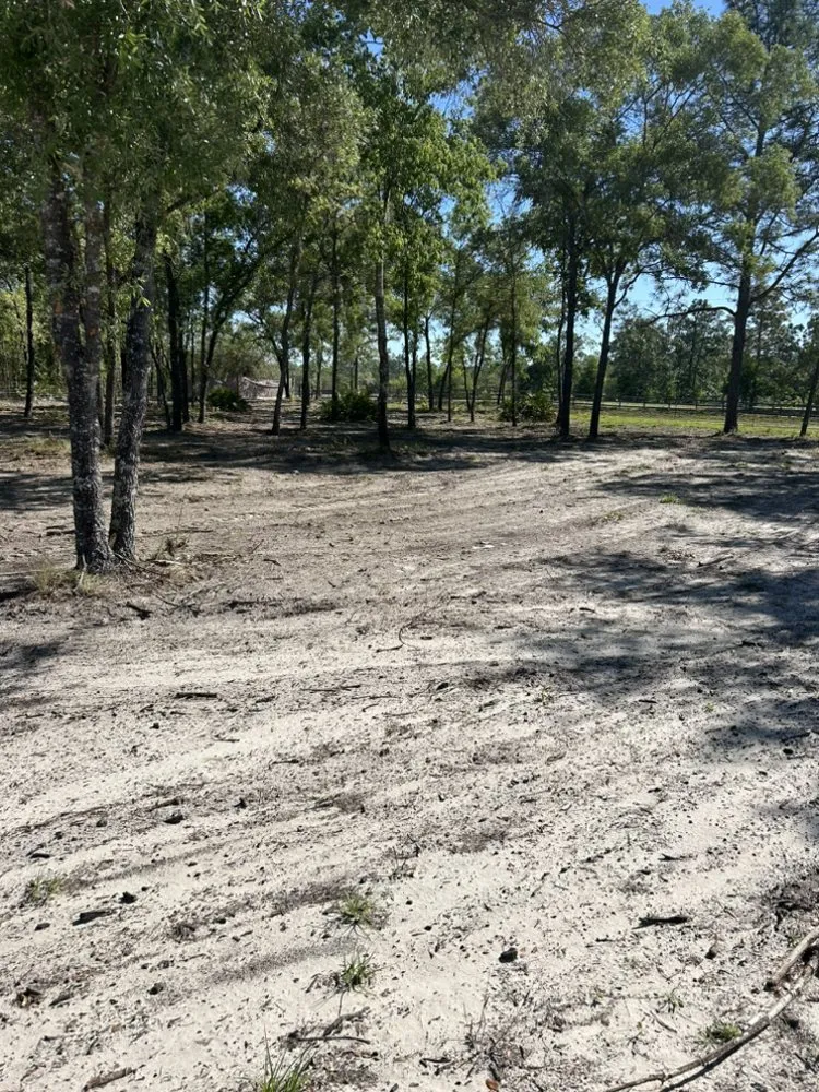 Custom landscape installation for outdoor upgrades in Morriston, FL by All Sky Property Services