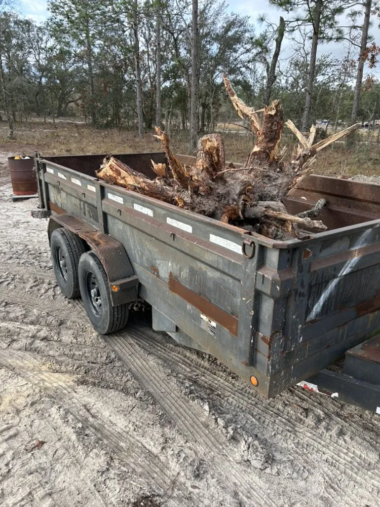 Affordable yard maintenance in Morriston, FL - All Sky Property Services