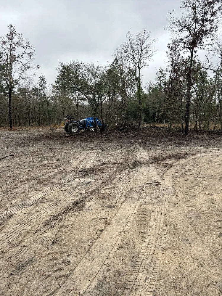 Expert garden landscaping for homes in Morriston, FL by All Sky Property Services
