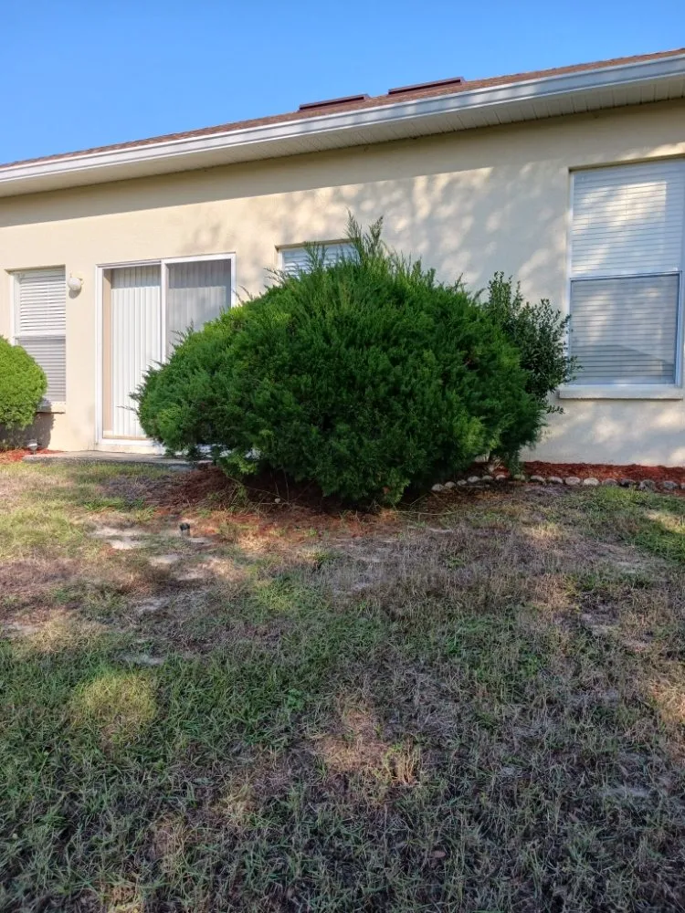 Expert lawn care service for homes across Spring Hill, FL - All Smiles Lawn Care