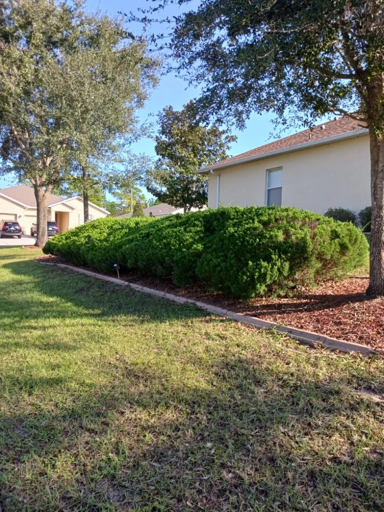 Professional outdoor landscaping near you across Spring Hill, FL - All Smiles Lawn Care