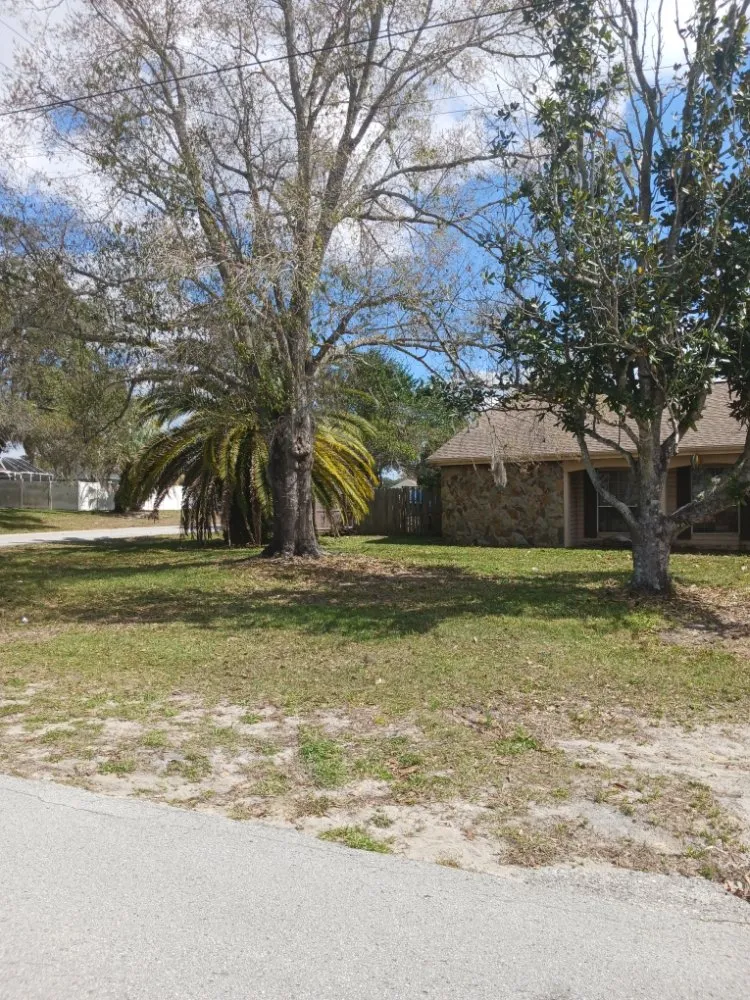 Custom residential landscaping in Spring Hill, FL - All Smiles Lawn Care