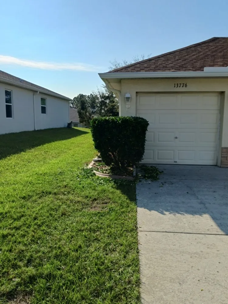 Top-rated yard cleanup service experts serving Spring Hill, FL - All Smiles Lawn Care