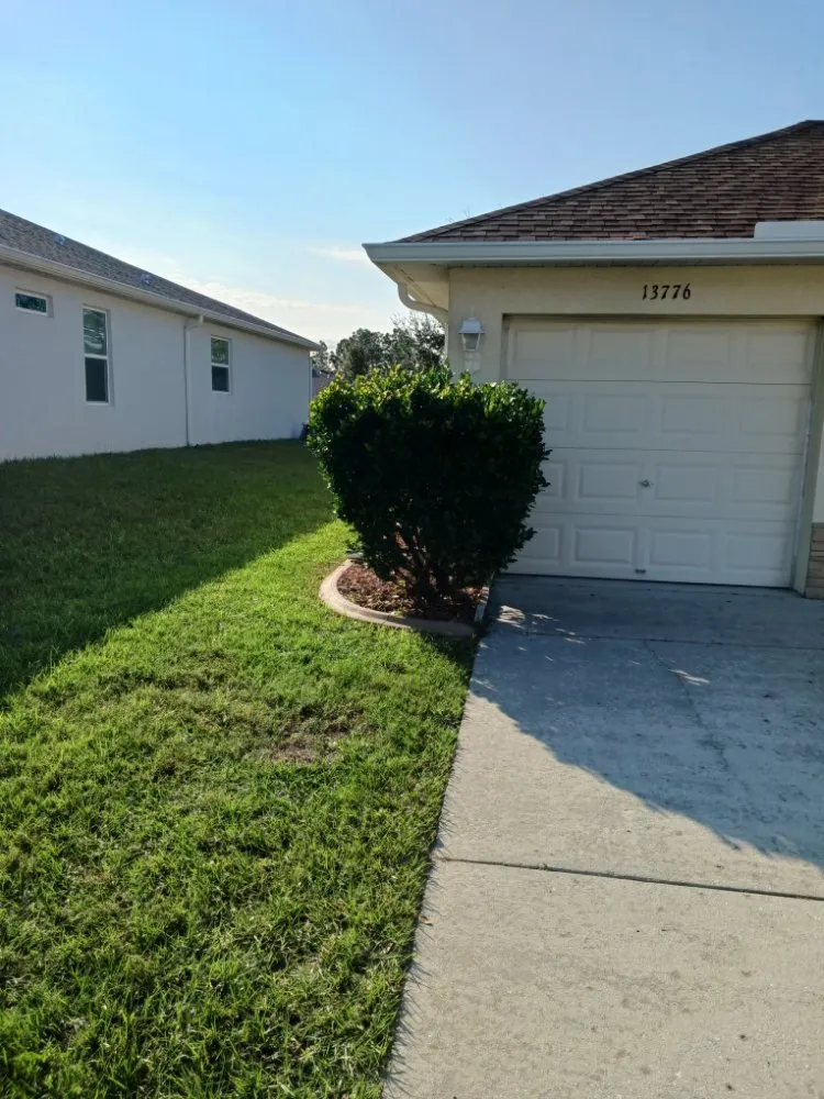 Affordable yard cleanup service in Spring Hill, FL by All Smiles Lawn Care