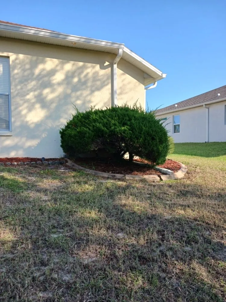 Expert landscape design in Spring Hill, FL - All Smiles Lawn Care