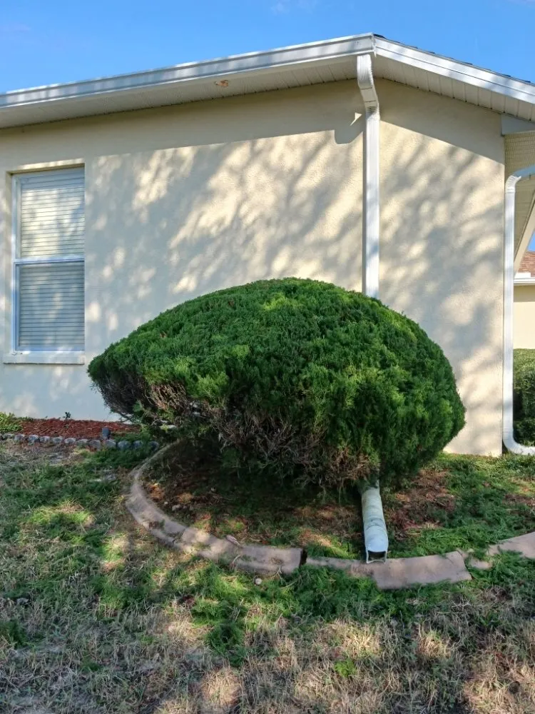 Reliable garden landscaping in Spring Hill, FL - All Smiles Lawn Care