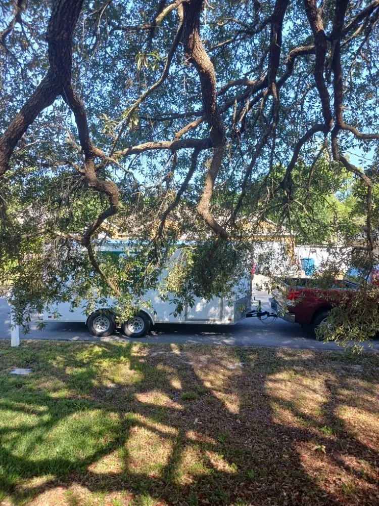 Professional lawn mowing service experts serving Spring Hill, FL - All Smiles Lawn Care