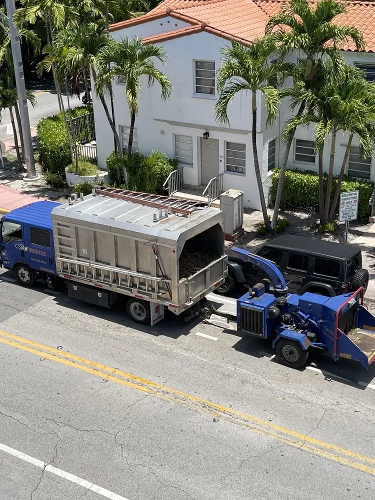 Custom landscape design for year-round maintenance across Miami, FL - All Smooth Lawn Maintenance & Landscaping