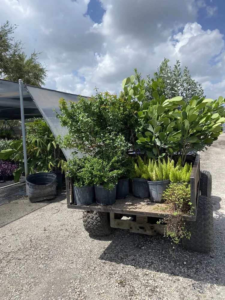 Custom lawn mowing service for outdoor upgrades across Miami, FL - All Smooth Lawn Maintenance & Landscaping