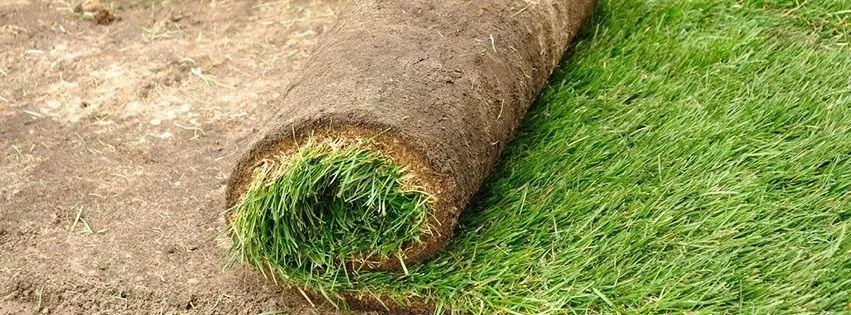 Professional yard maintenance for outdoor upgrades across Naples, FL - All Sod Nursery