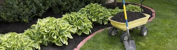 All Sod Nursery Logo