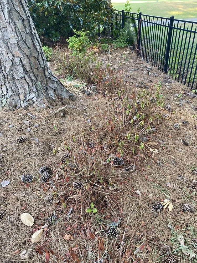 Custom outdoor landscaping in Tyrone, GA - All South Lawnscapes