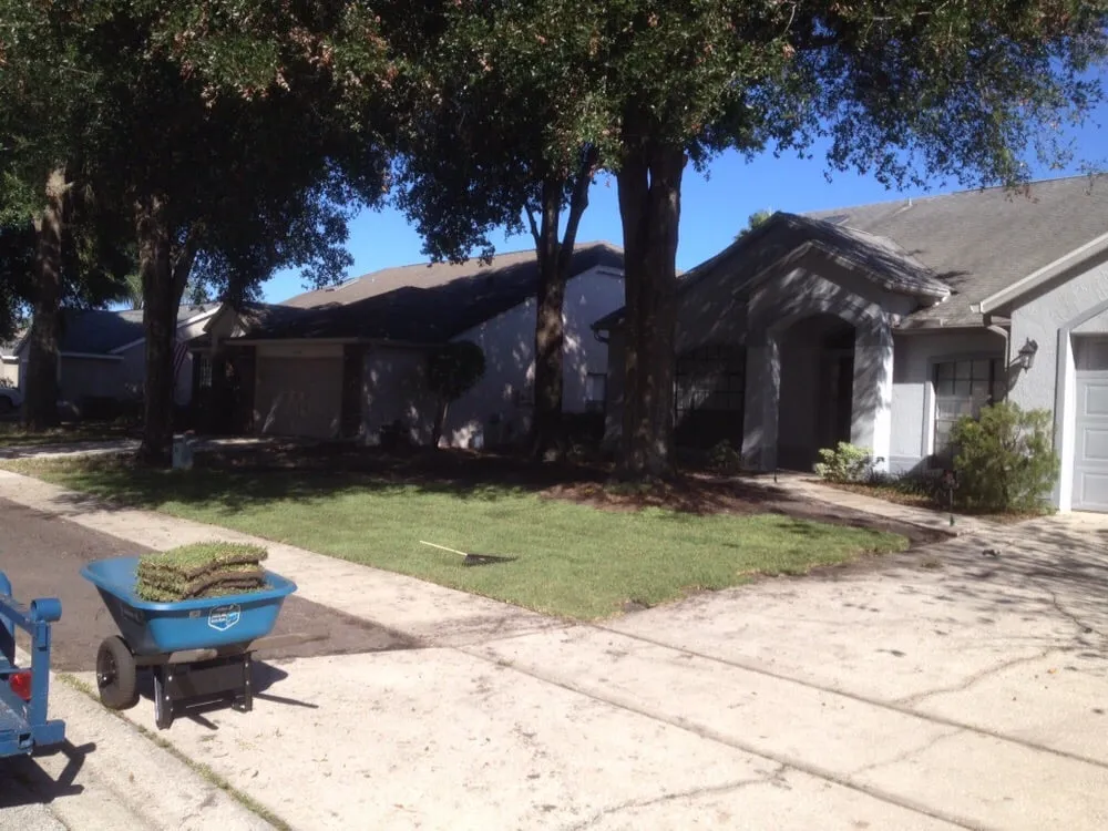 Custom yard maintenance experts serving Casselberr, FL - All Southern Outdoor