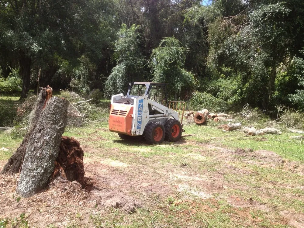 Expert landscaping services for outdoor upgrades in Casselberr, FL by All Southern Outdoor