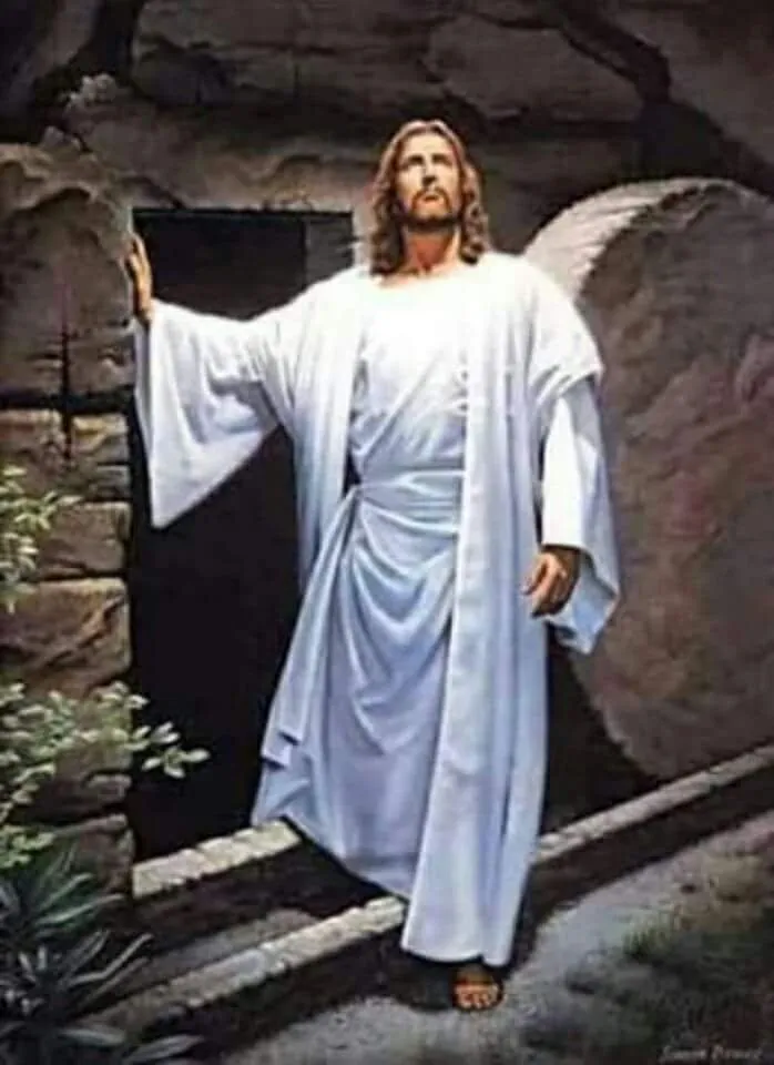 Local landscape design in El Paso, TX by All Star Carpet Tech