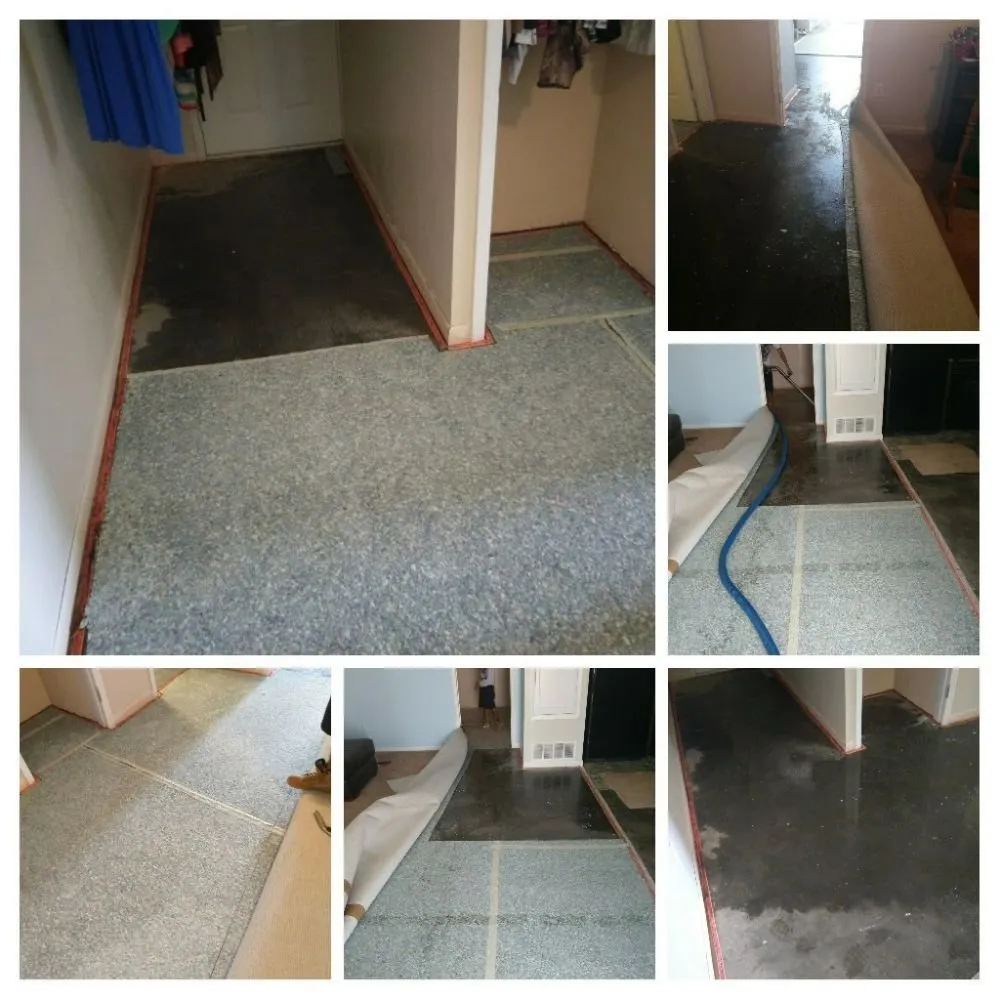 Expert landscape installation for residential properties in El Paso, TX by All Star Carpet Tech