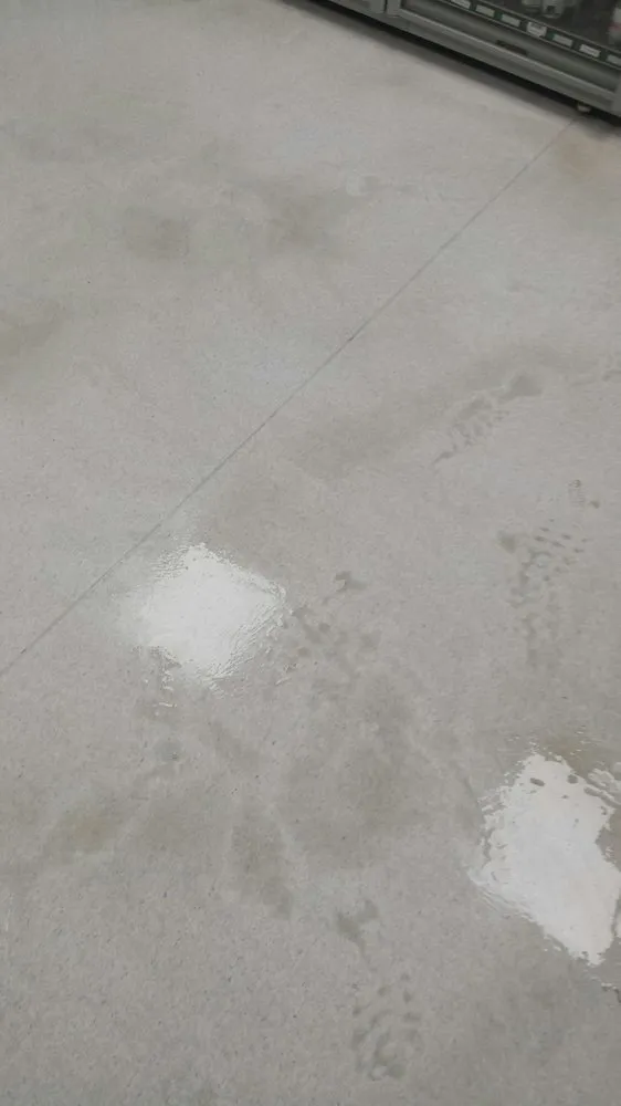 Top-rated landscaping services in El Paso, TX by All Star Carpet Tech