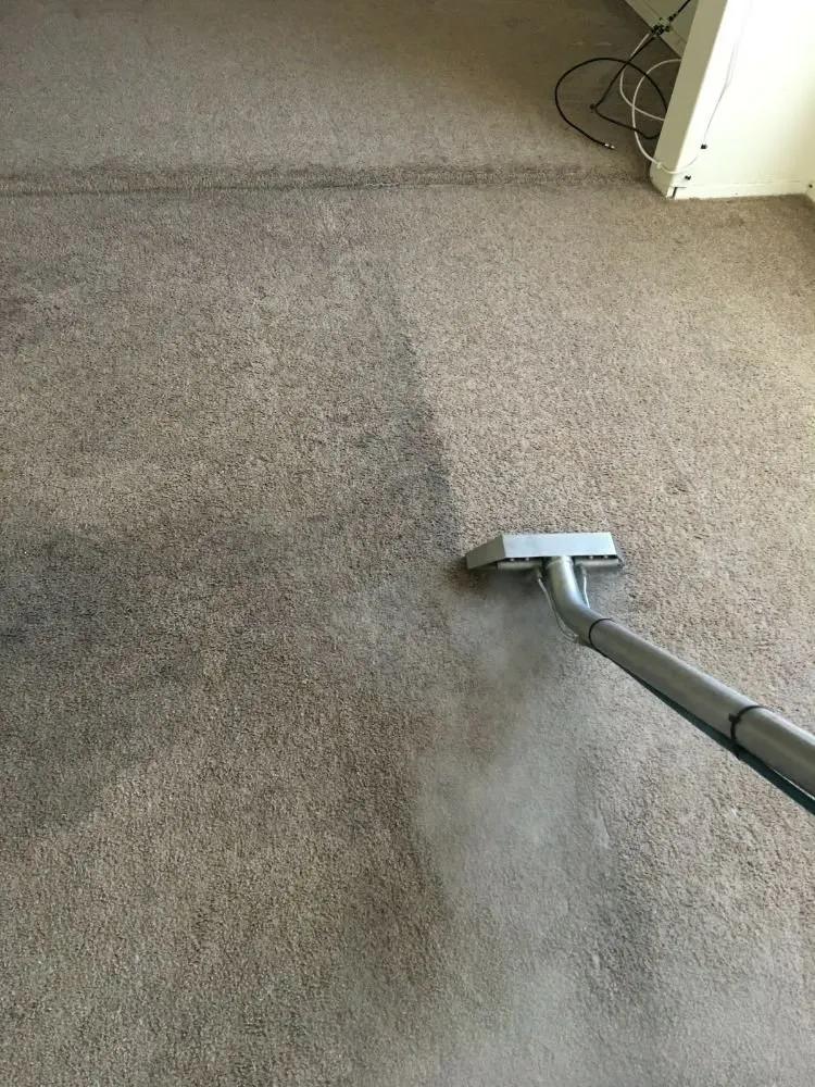 Trusted garden landscaping in El Paso, TX by All Star Carpet Tech