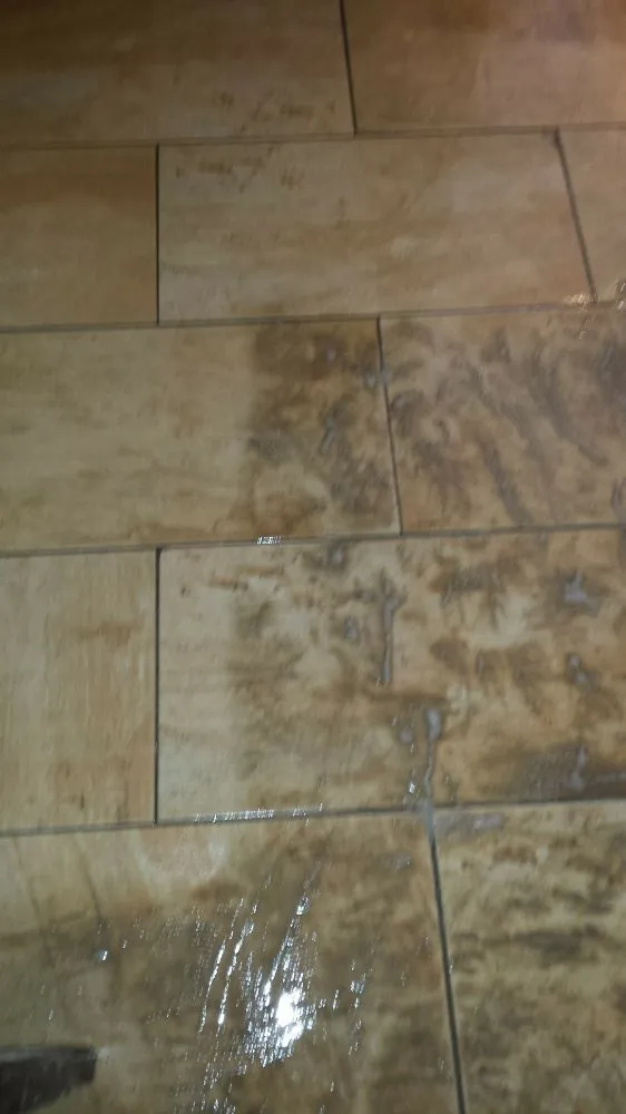 Reliable landscape installation for year-round maintenance in El Paso, TX by All Star Carpet Tech