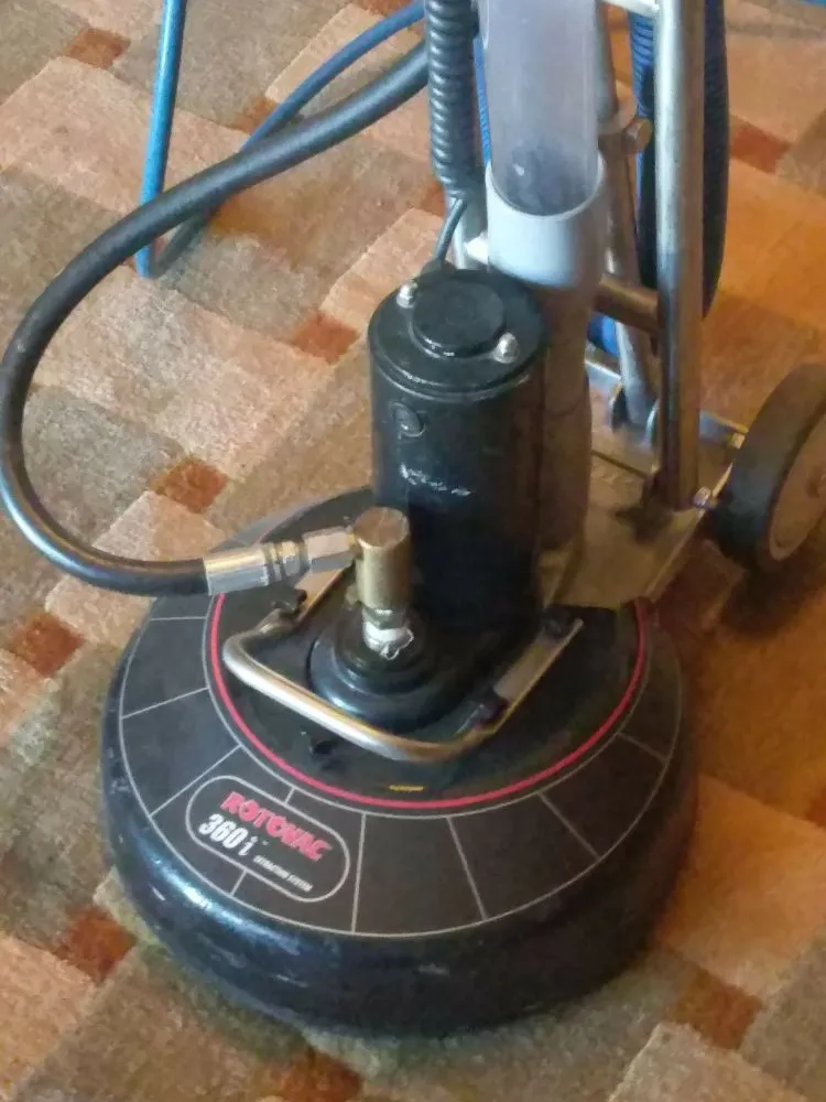 Affordable landscape installation in El Paso, TX - All Star Carpet Tech