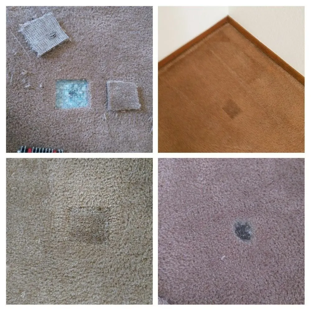 Affordable residential landscaping for homes in El Paso, TX by All Star Carpet Tech