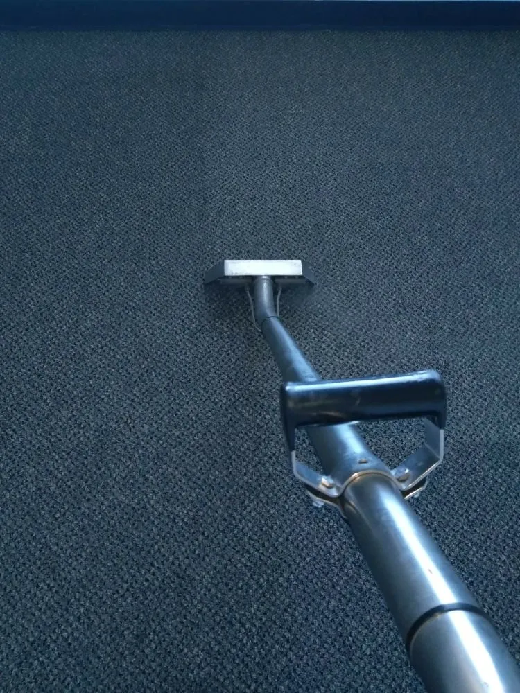 Custom yard maintenance experts serving El Paso, TX - All Star Carpet Tech