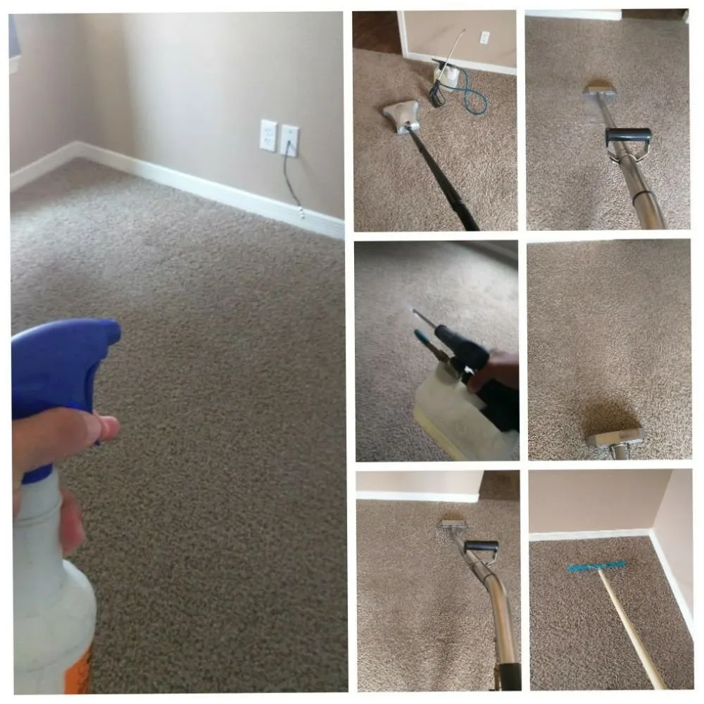 Affordable lawn care service in El Paso, TX by All Star Carpet Tech