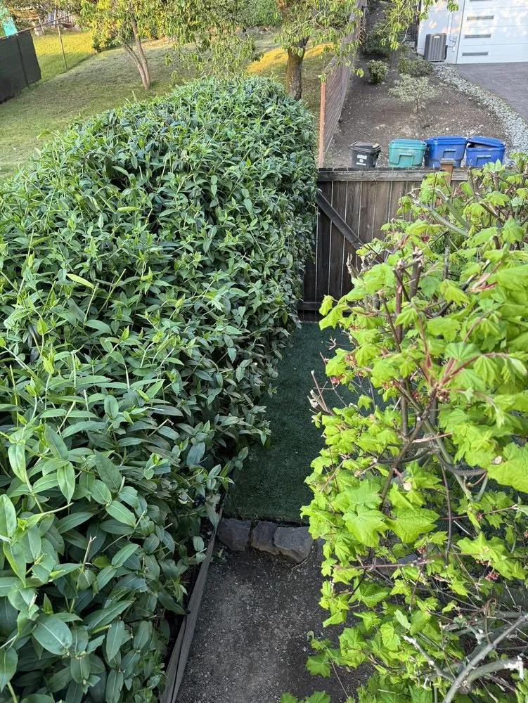 Local landscape design experts serving Renton, WA - All Star Clean Up & Landscaping