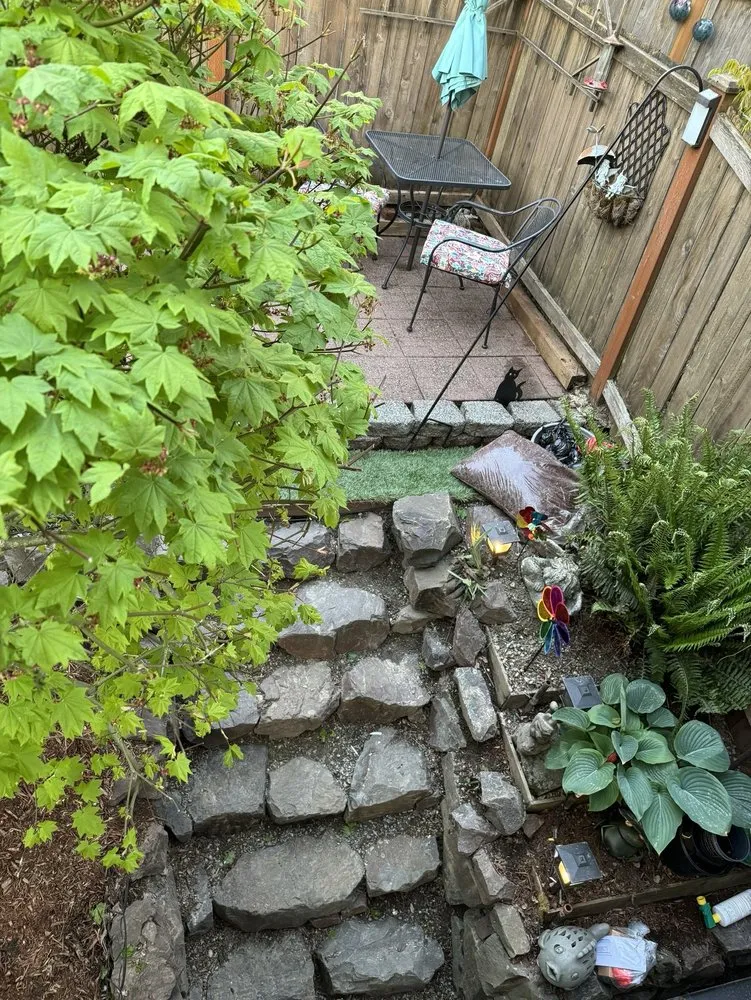 Reliable yard cleanup service for year-round maintenance in Renton, WA by All Star Clean Up & Landscaping