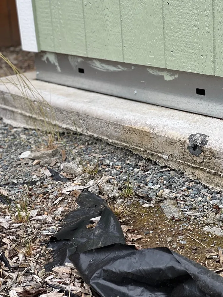 Trusted yard maintenance in Renton, WA by All Star Clean Up & Landscaping