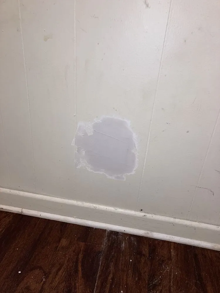 Affordable yard maintenance for homes in North Pole, AK by All Star Contracting