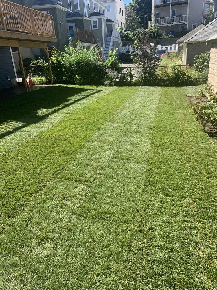 Expert residential landscaping in Roslindale, MA by All Star Landscaping & Masonry