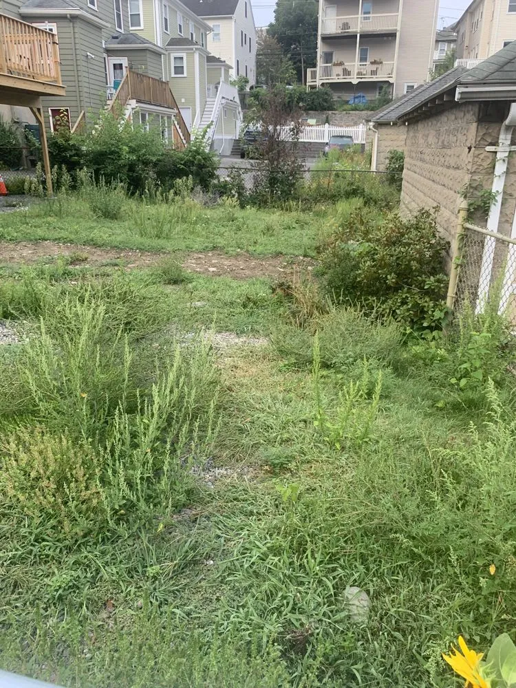 Professional yard maintenance experts serving Roslindale, MA - All Star Landscaping & Masonry