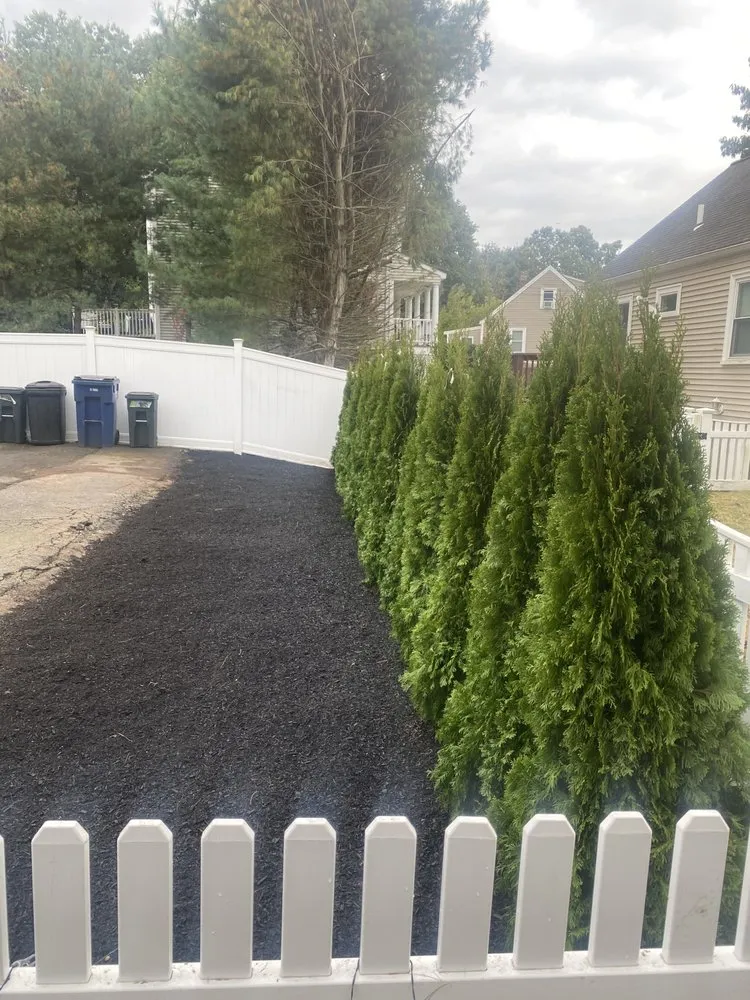 Affordable residential landscaping experts serving Roslindale, MA - All Star Landscaping & Masonry