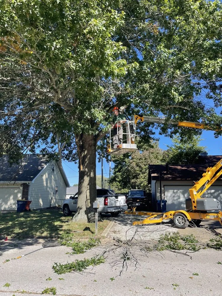 Expert residential landscaping in Springfield, MO by All-Star Landscaping