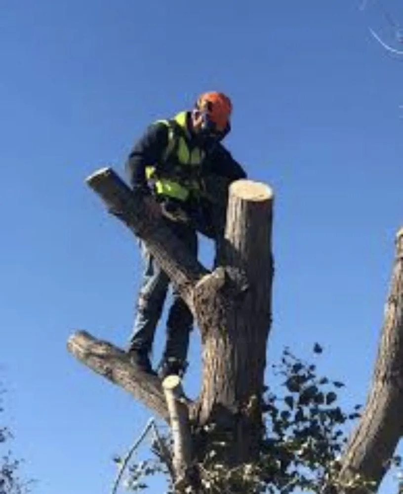 Expert lawn care service experts serving Springfield, MO - All-Star Landscaping