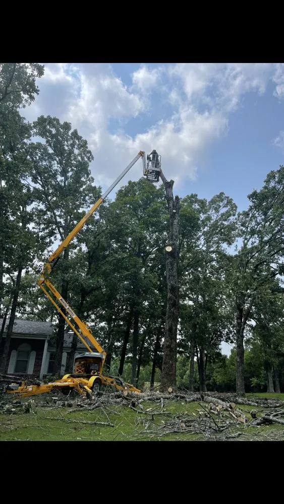 Professional lawn care service in Springfield, MO - All-Star Landscaping