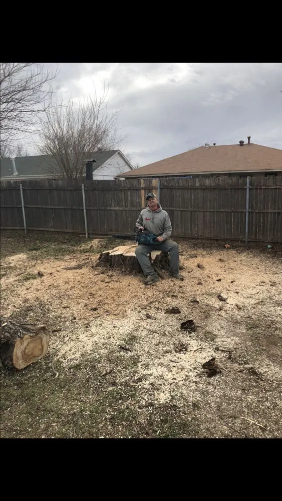 Top-rated yard cleanup service in Springfield, MO by All-Star Landscaping