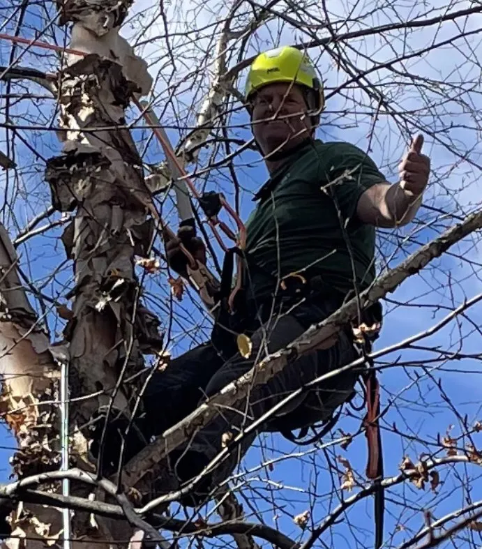 Affordable landscape installation for homes across Springfield, MO - All-Star Landscaping