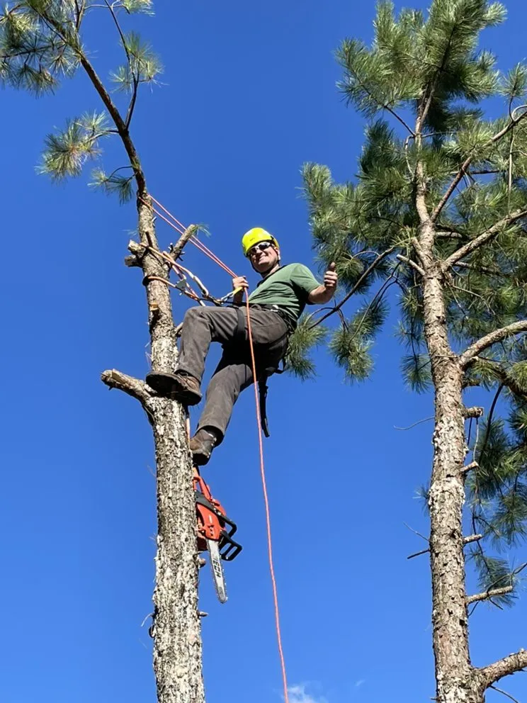 Custom landscape installation in Springfield, MO by All-Star Landscaping