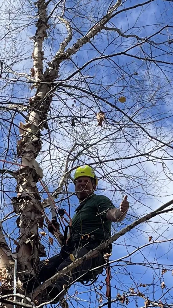 Reliable yard maintenance for beautiful yards across Springfield, MO - All-Star Landscaping