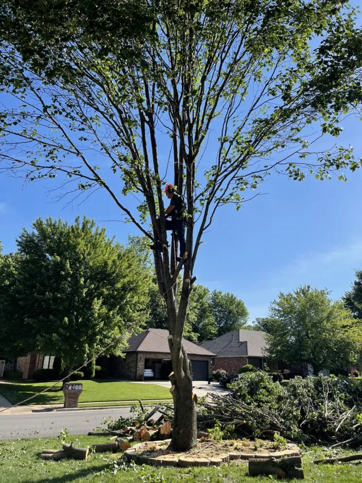 Reliable outdoor landscaping for residential properties in Springfield, MO by All-Star Landscaping