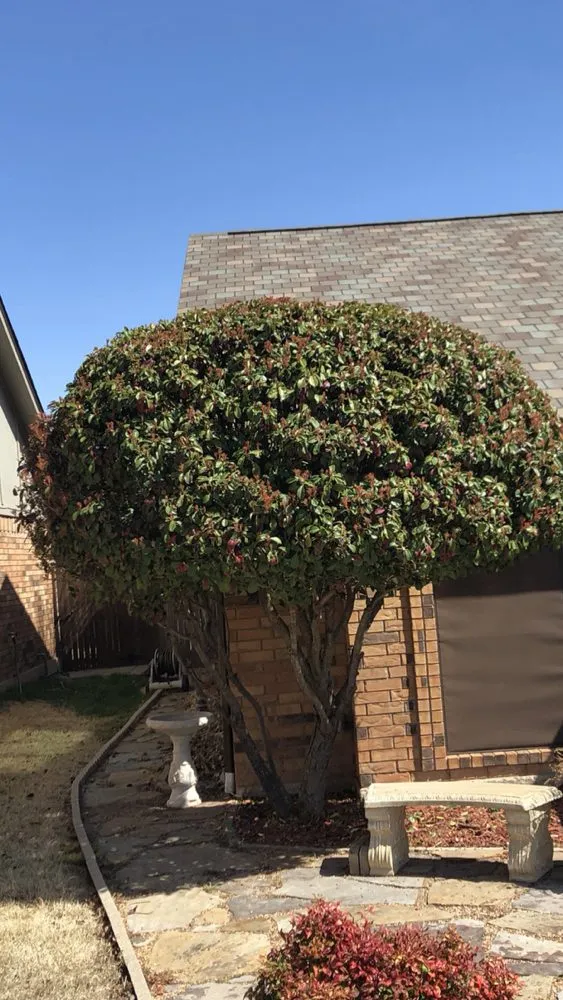 Trusted landscape installation in Springfield, MO by All-Star Landscaping