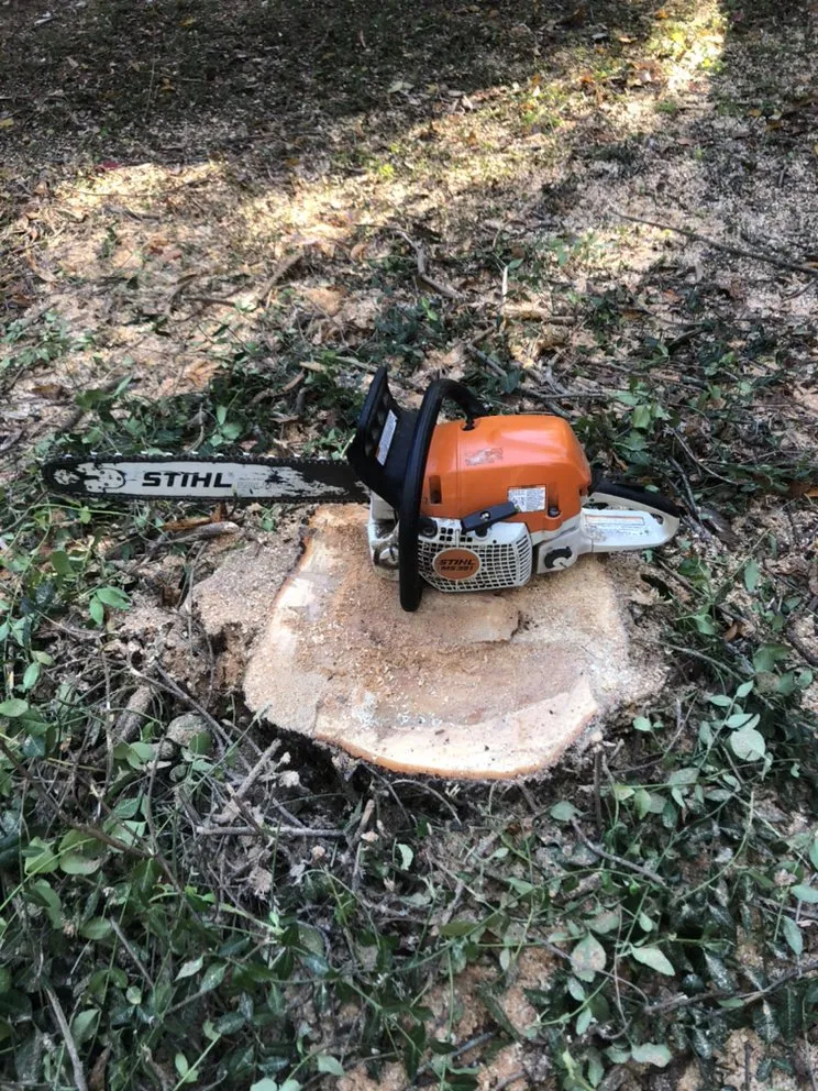 Top-rated lawn mowing service in Springfield, MO by All-Star Landscaping